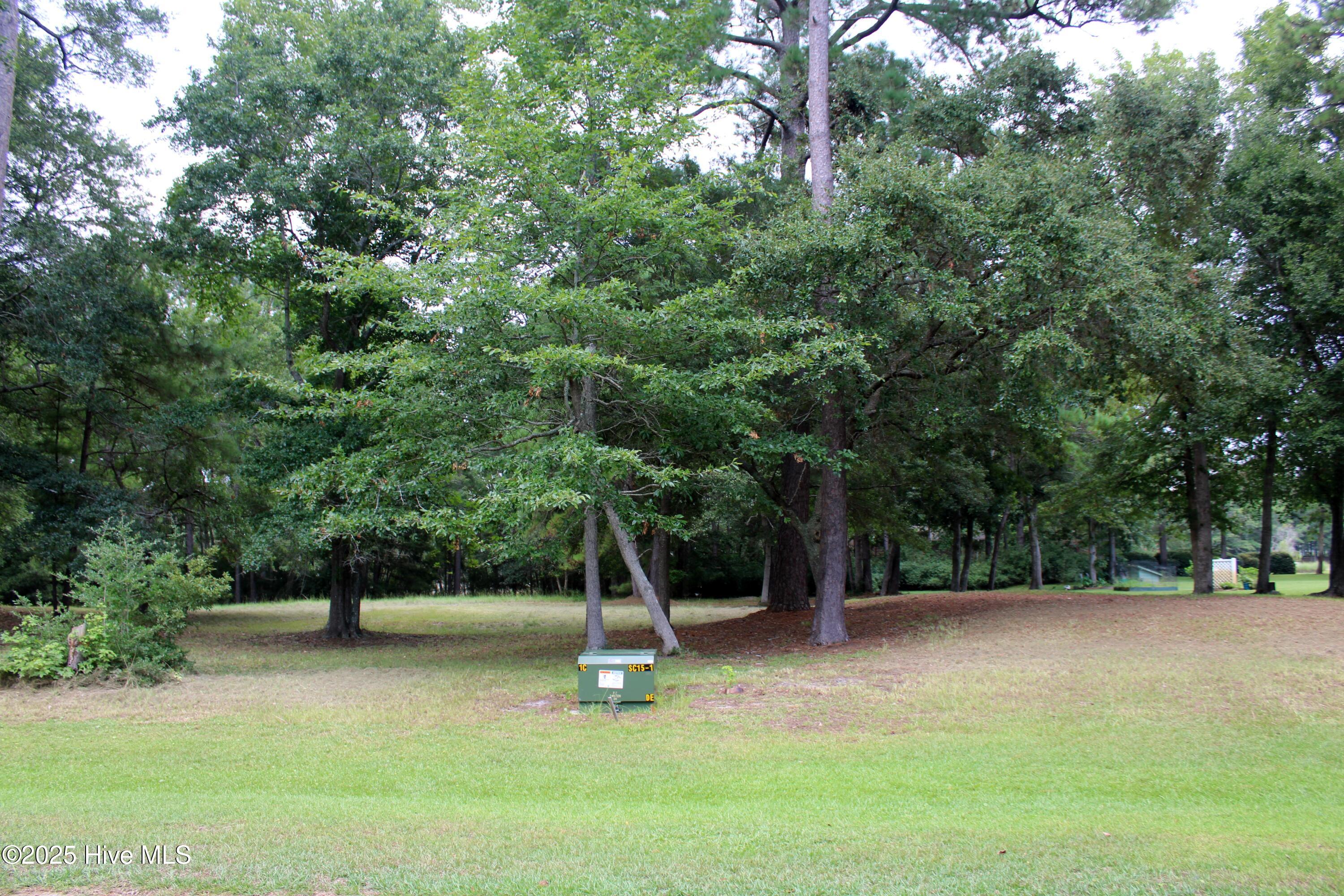 240 Genoe's Point Road Southwest Supply, NC 28462 - Photo 3 of 17 IMG_1120