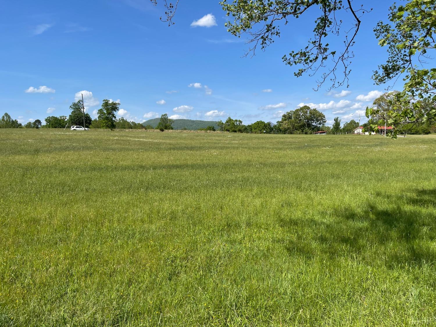 0 Quarles Road Thaxton, VA 24174 - Photo 11 of 15