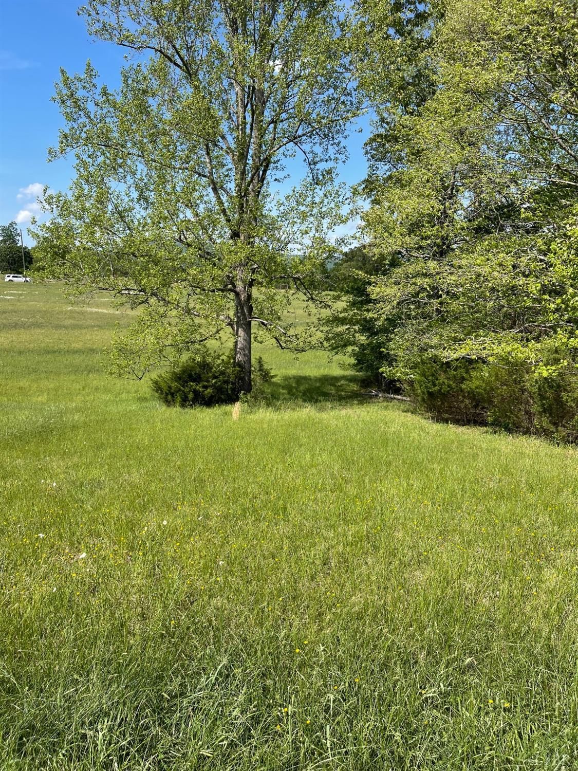 0 Quarles Road Thaxton, VA 24174 - Photo 12 of 15