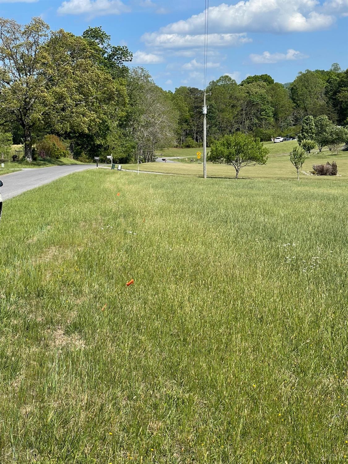 0 Quarles Road Thaxton, VA 24174 - Photo 2 of 15