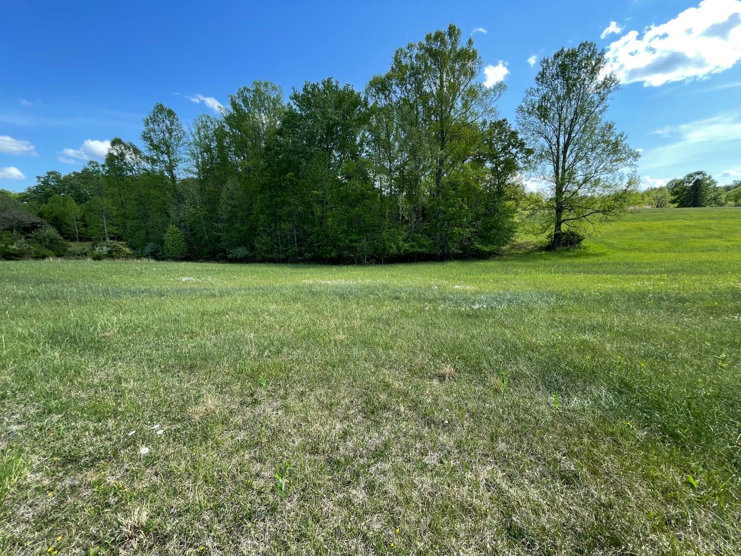 0 Quarles Road Thaxton, VA 24174 - Photo 4 of 15