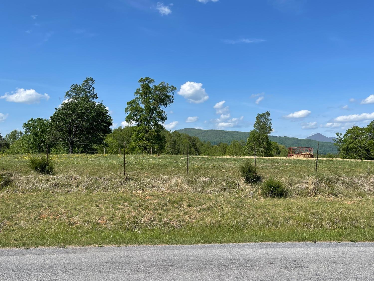 0 Quarles Road Thaxton, VA 24174 - Photo 5 of 15