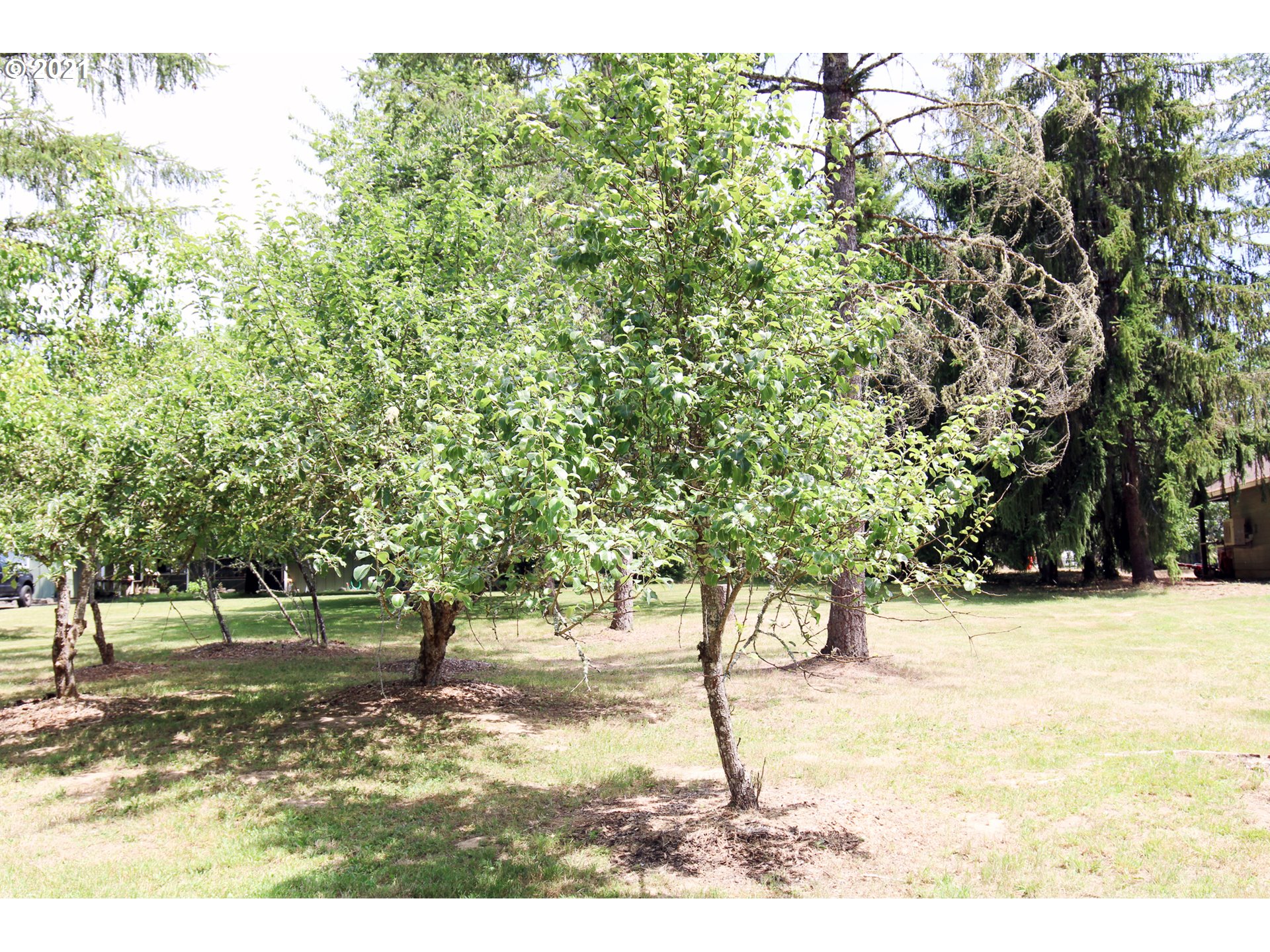 25628 Jeans Road Veneta, OR 97487 - Photo 18 of 25 Gallery Image 18