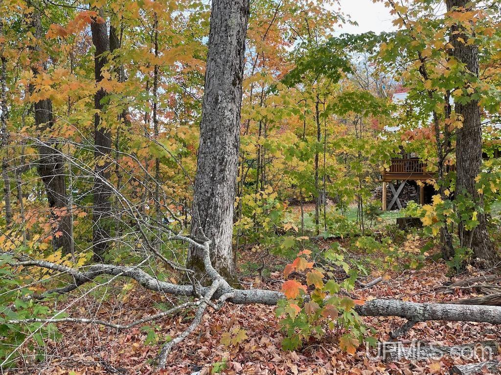 47-13 Carpenter Lake Road Seney, MI 49883 - Photo 7 of 18