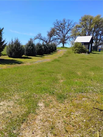 a view of a yard with an trees