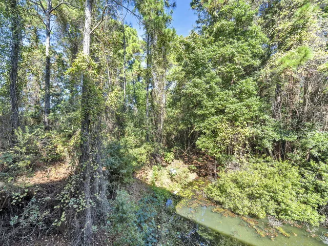 a view of lake with green space
