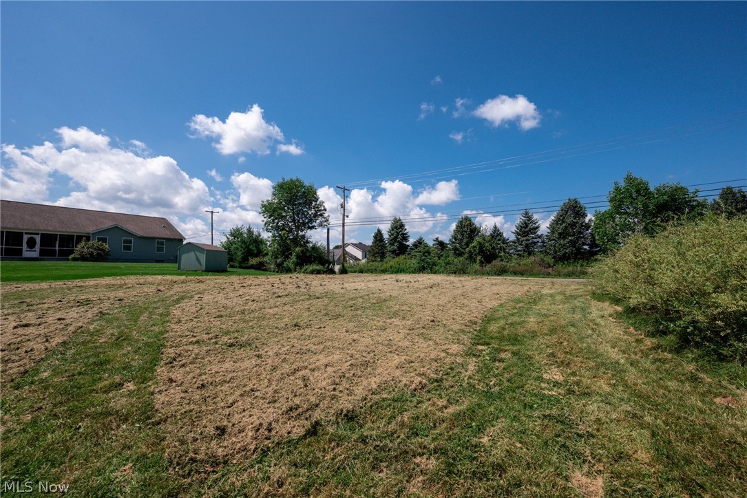 1808 Sandy Lake Road Ravenna, OH 44266 - Photo 28 of 30 Expansive grassy lot with a defined path and a treeline in the background