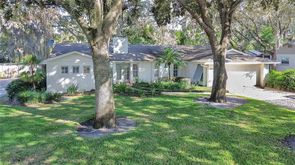 a front view of a house with a yard and a large tree