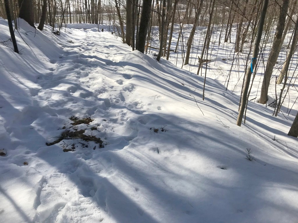 0 Nys Route Jay, NY 12941 - Photo 4 of 7 Gallery Image 4