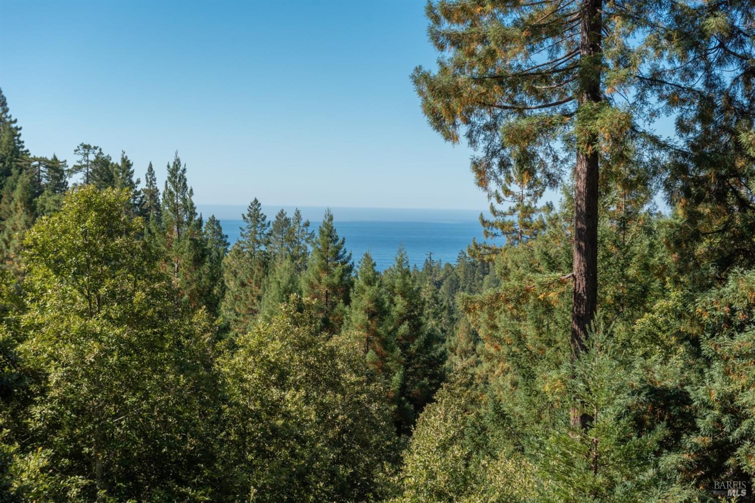 38120 Ocean Ridge Drive Gualala, CA 95445 - Photo 2 of 34 a view of a forest with a tree