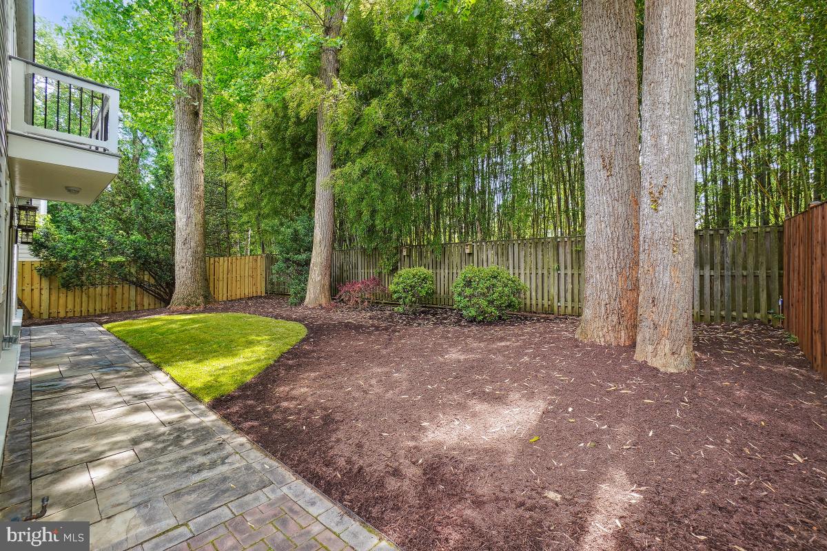8610 Melwood Road Bethesda, MD 20817 - Photo 43 of 44 a view of a backyard with garden