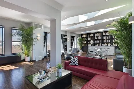 a living room with furniture and a potted plant