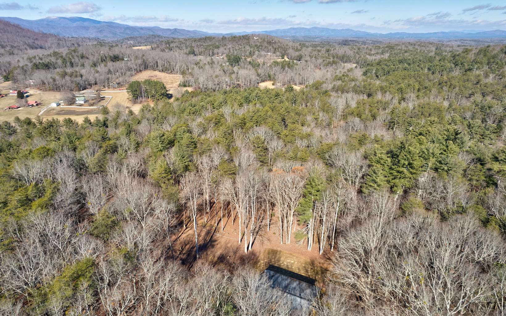 118 Mystic Lane Blue Ridge, GA 30513 - Photo 38 of 44 Additional View