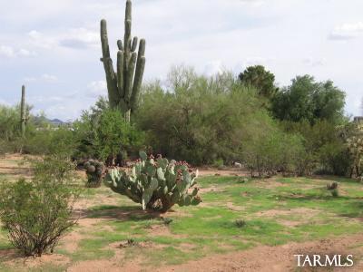 7450 North Gemstone Road Tucson, AZ 85743 - Photo 9 of 10 Gallery Image 9