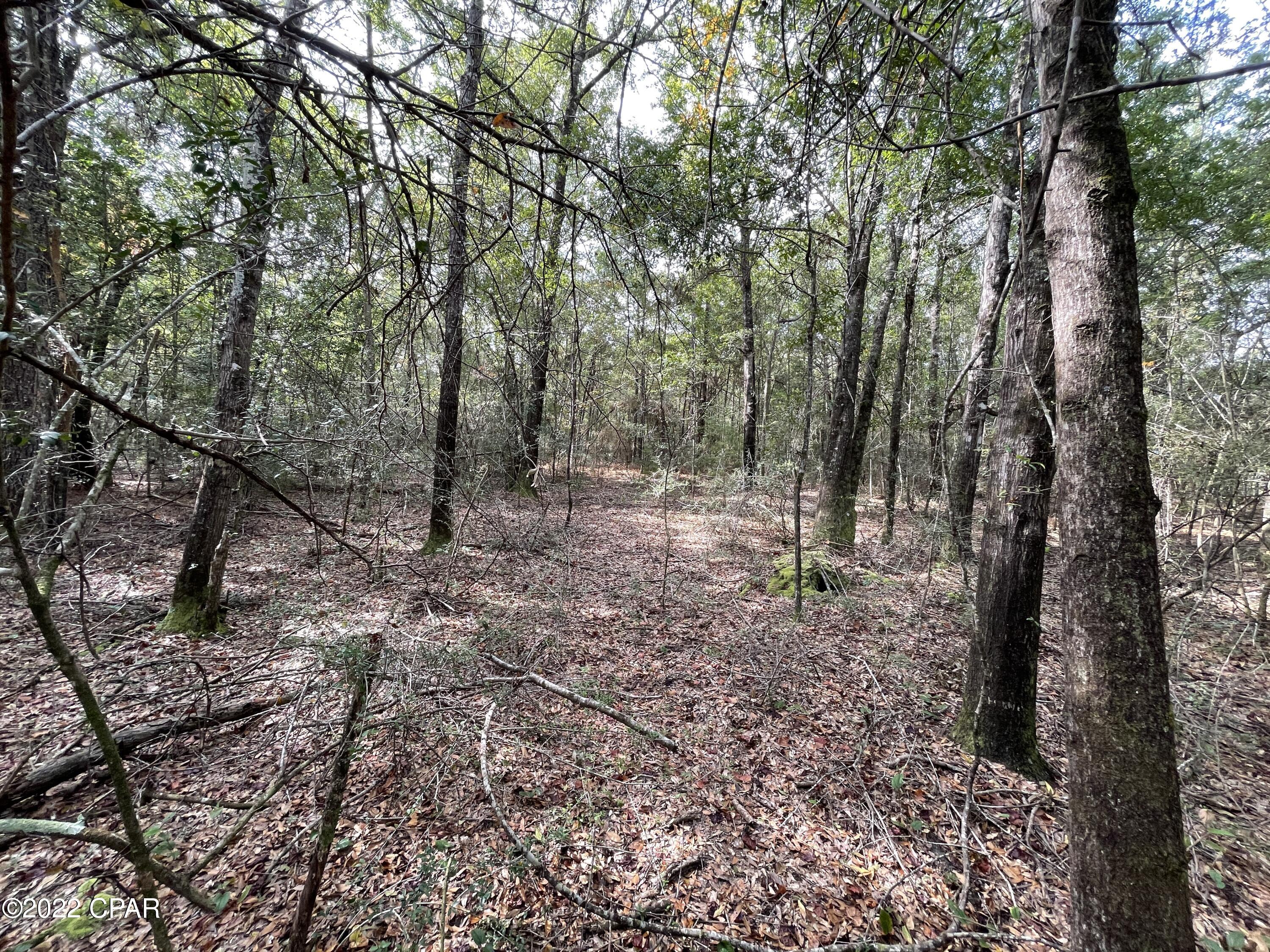0 State Road 89 Road Jay, FL 32565 - Photo 4 of 27