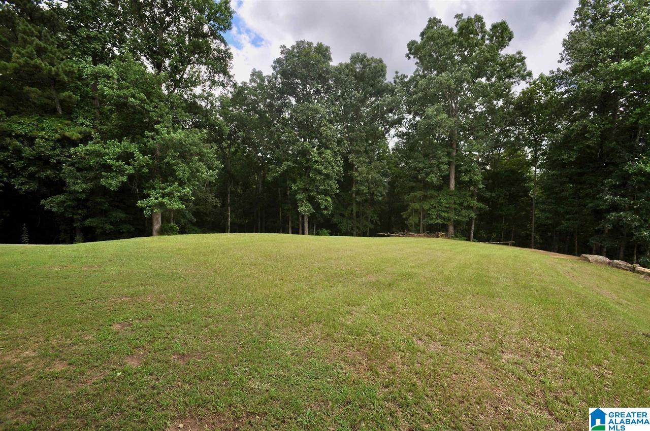 0 Ryan Creek Road, Unit 5 & 6 Cullman, AL 35055 - Photo 1 of 1