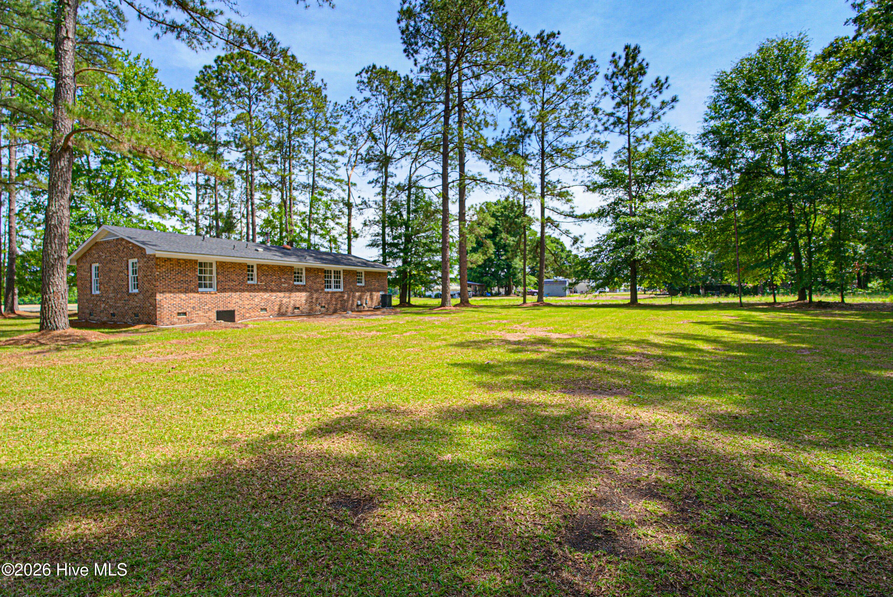 401 Macedonia Church Road Evergreen, NC 28438 - Photo 4 of 40 Spacious Back Yard