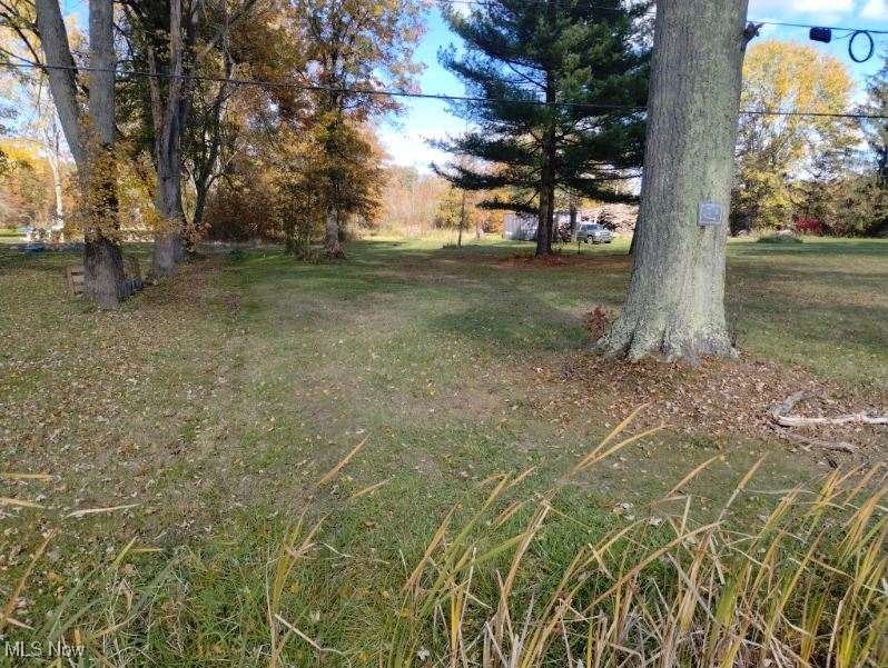 4389 Kincaid Road Warren, OH 44481 - Photo 13 of 33 View of yard