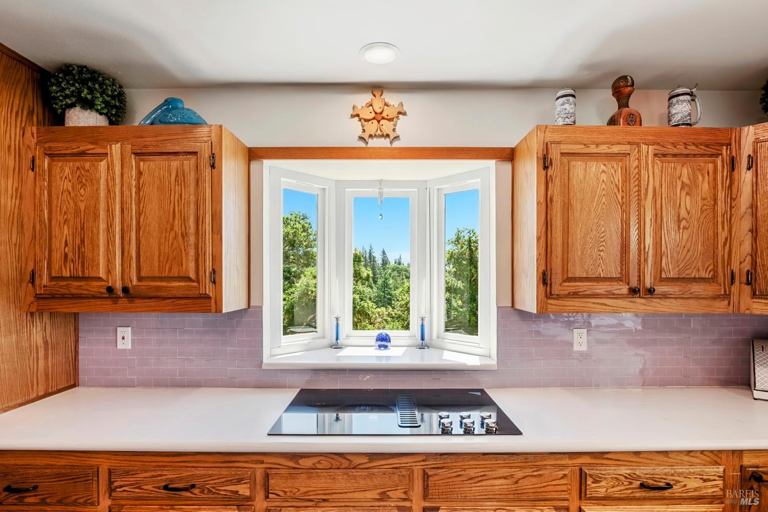305 West Lane Angwin, CA 94508 - Photo 19 of 80