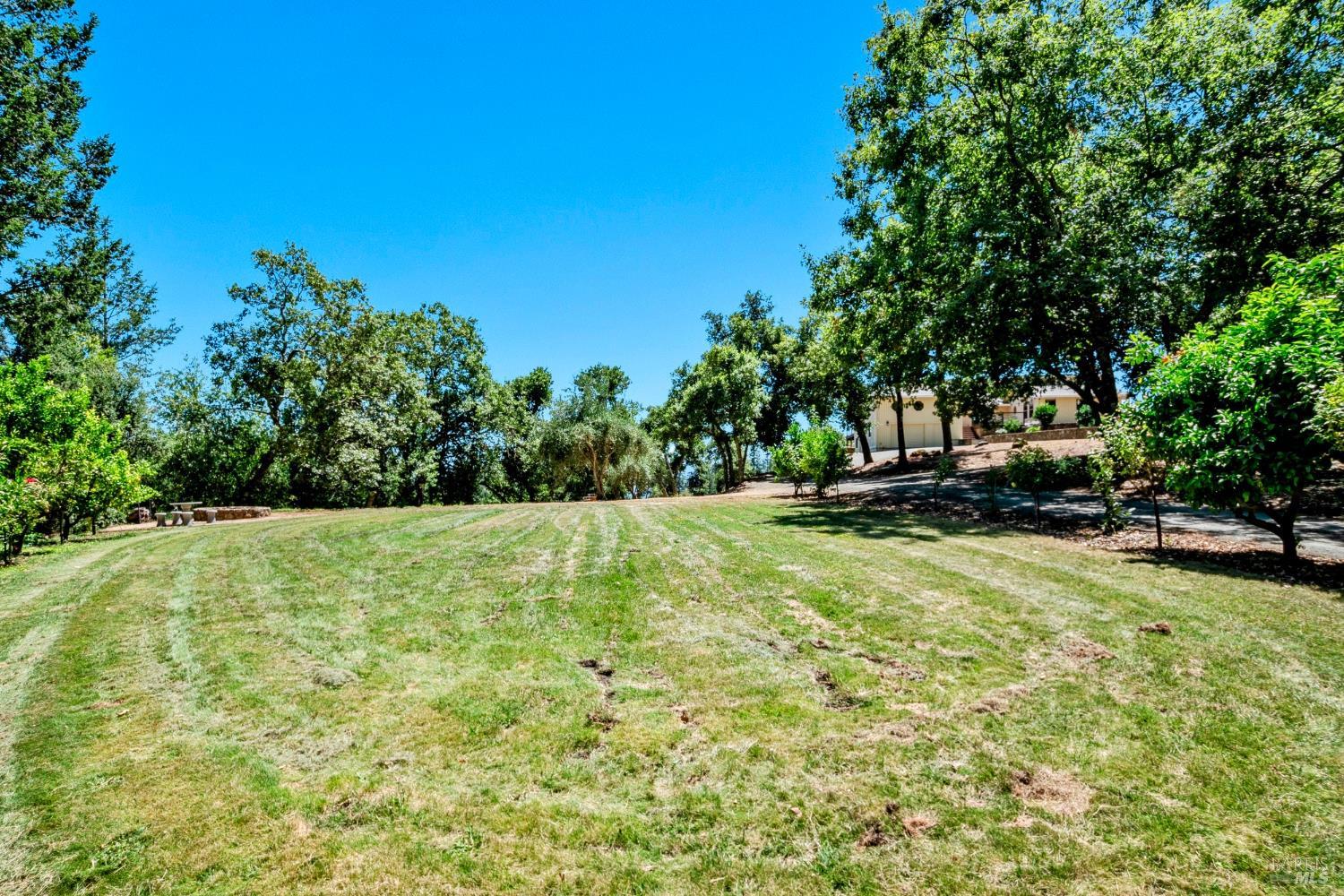 305 West Lane Angwin, CA 94508 - Photo 58 of 80