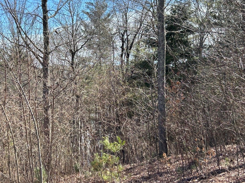 175 Rural Retreat Lake Road Rural Retreat, VA 24368 - Photo 37 of 57 Gallery Image 37