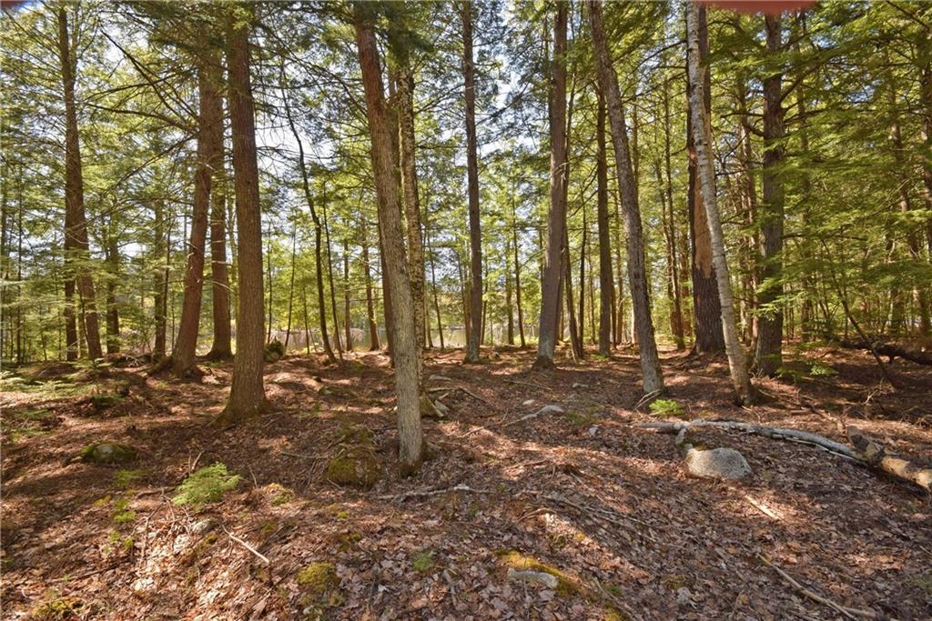 Lot A Dead Stream Road Lincoln, ME 04457 - Photo 3 of 11 Land lot