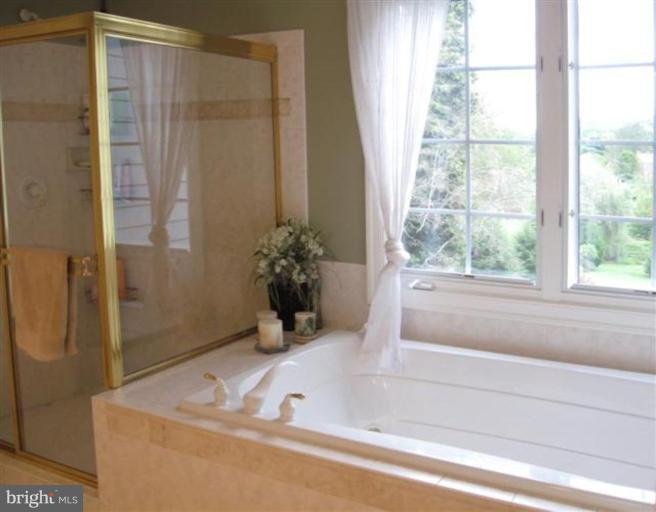 3011 Hunt Road Oakton, VA 22124 - Photo 24 of 30 Master Bath Tub and Shower