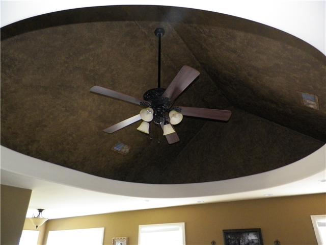 526 Halltown Road Portland, TN 37148 - Photo 20 of 20 Beautiful Ceiling over Bed in Master