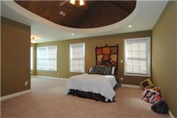 526 Halltown Road Portland, TN 37148 - Photo 8 of 20 Magnificent view of Mastersuite