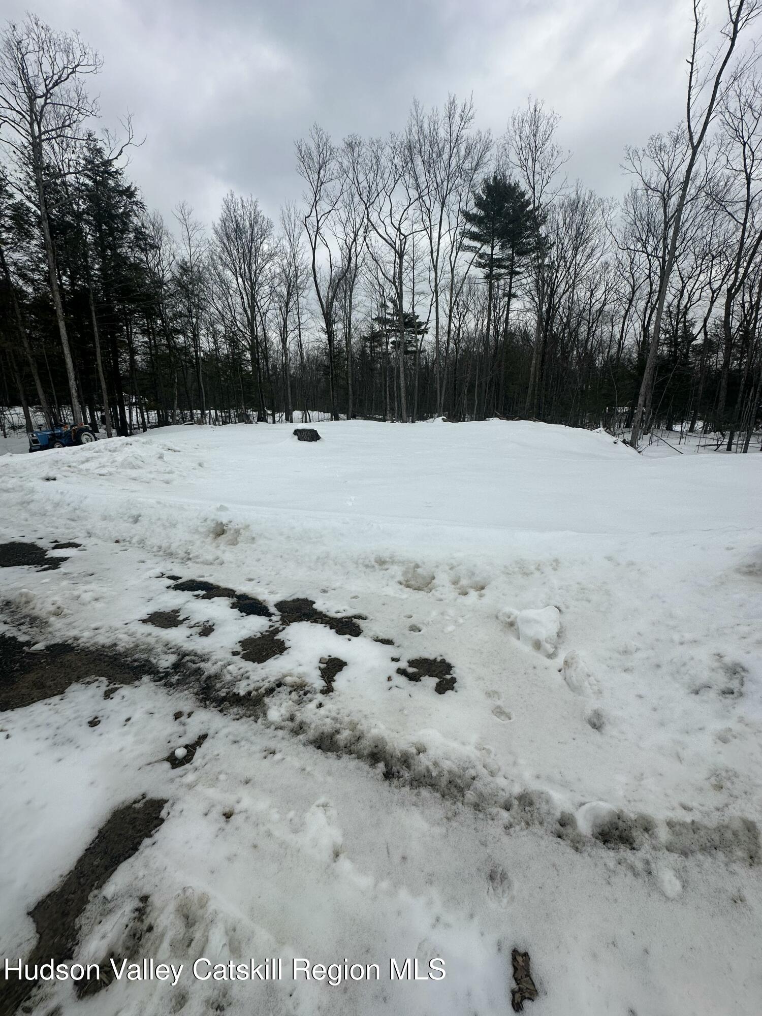 20 Olivers Way Cairo, NY 12413 - Photo 4 of 20 a view of snow covered with snow