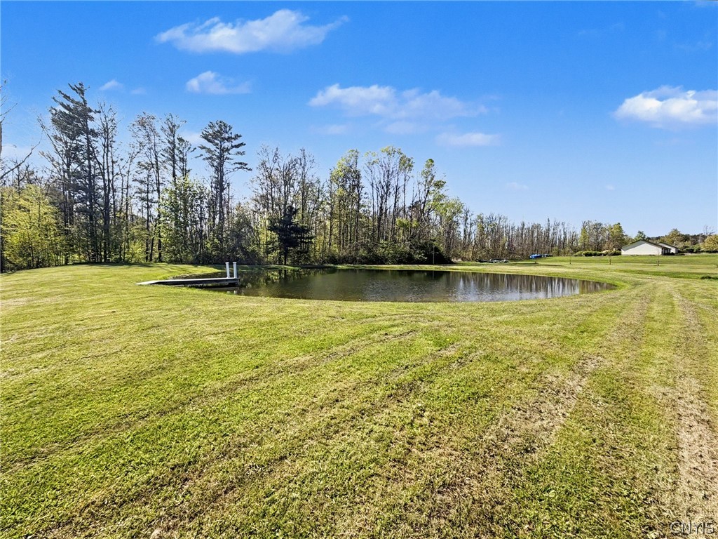 2254 Hanshaw Road Dryden, NY 13068 - Photo 3 of 47 Stocked Pond