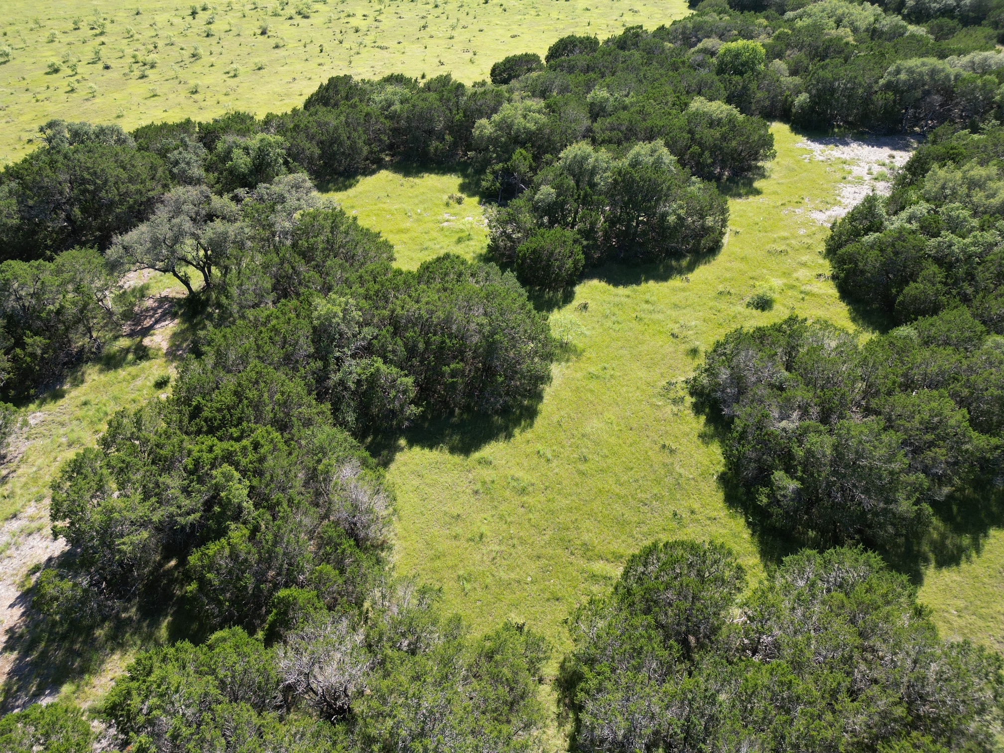 0 Cr 104 Road Lampasas, TX 76550 - Photo 11 of 18 Expansive acreage featuring mature trees and open grassy areas