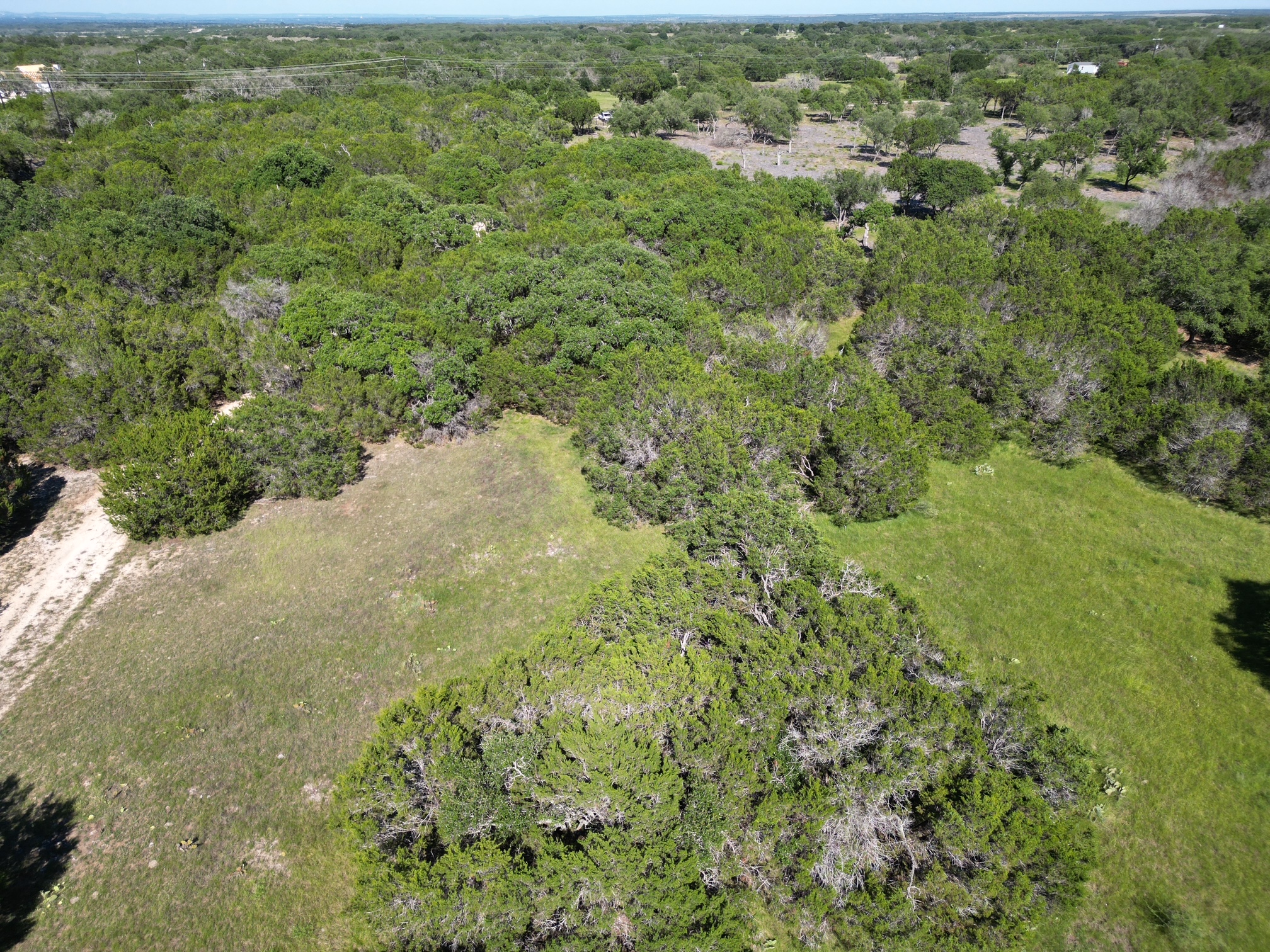 0 Cr 104 Road Lampasas, TX 76550 - Photo 13 of 18 Expansive land parcel featuring dense tree cover and open grassy areas