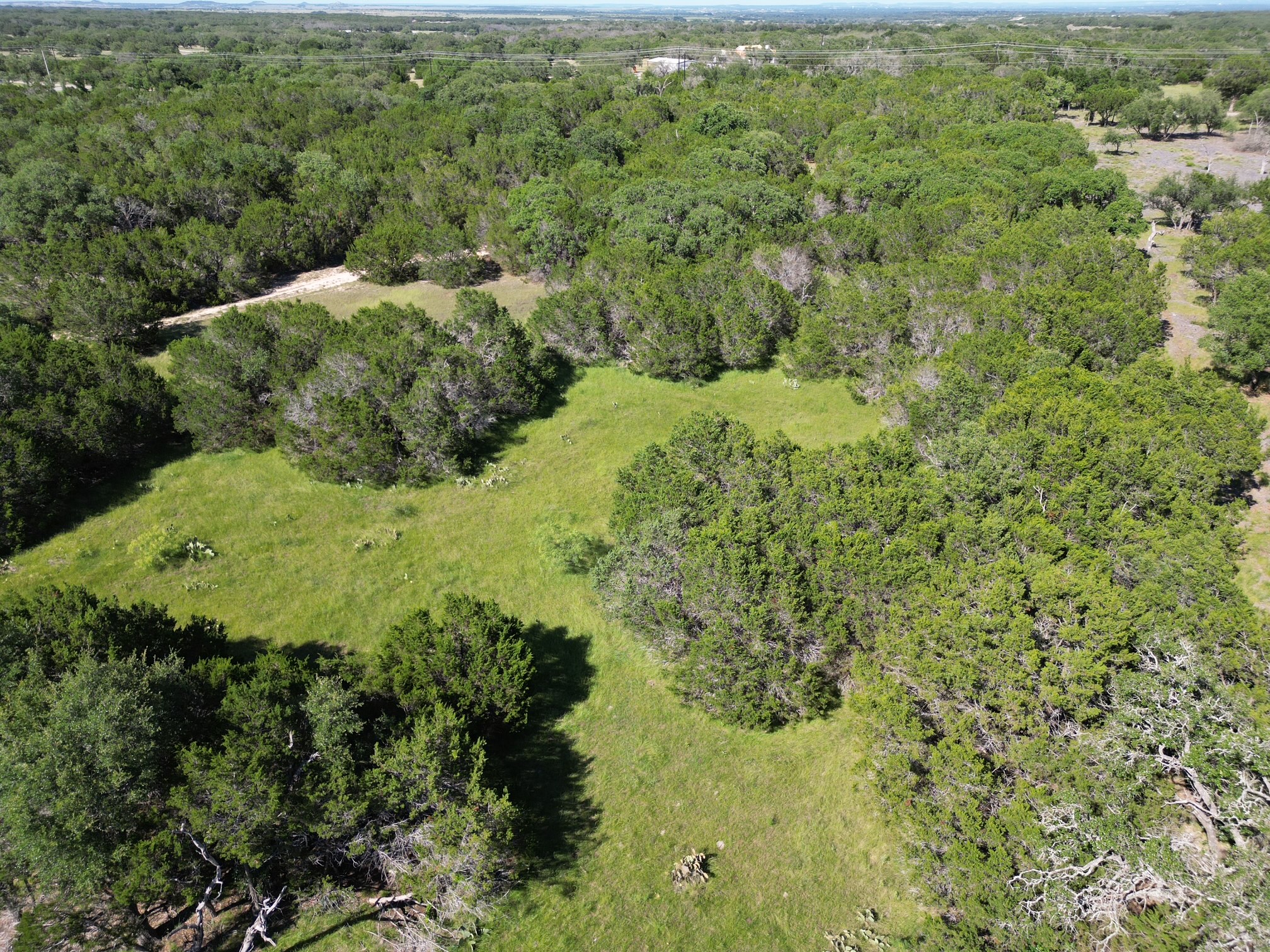 0 Cr 104 Road Lampasas, TX 76550 - Photo 14 of 18 Expansive land parcel featuring dense tree coverage and open grassy areas