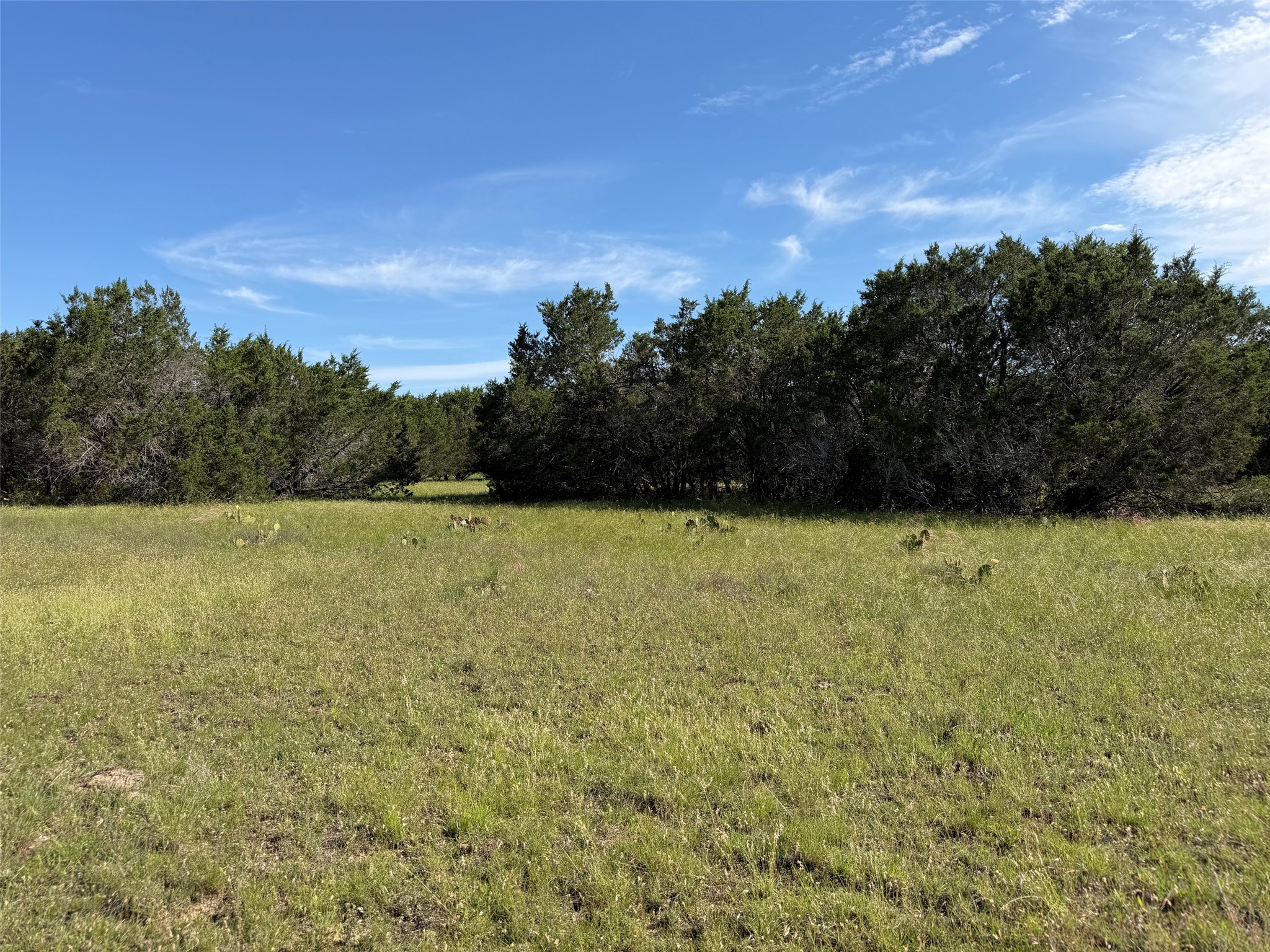 0 Cr 104 Road Lampasas, TX 76550 - Photo 9 of 18 Expansive grassy terrain with natural tree lines