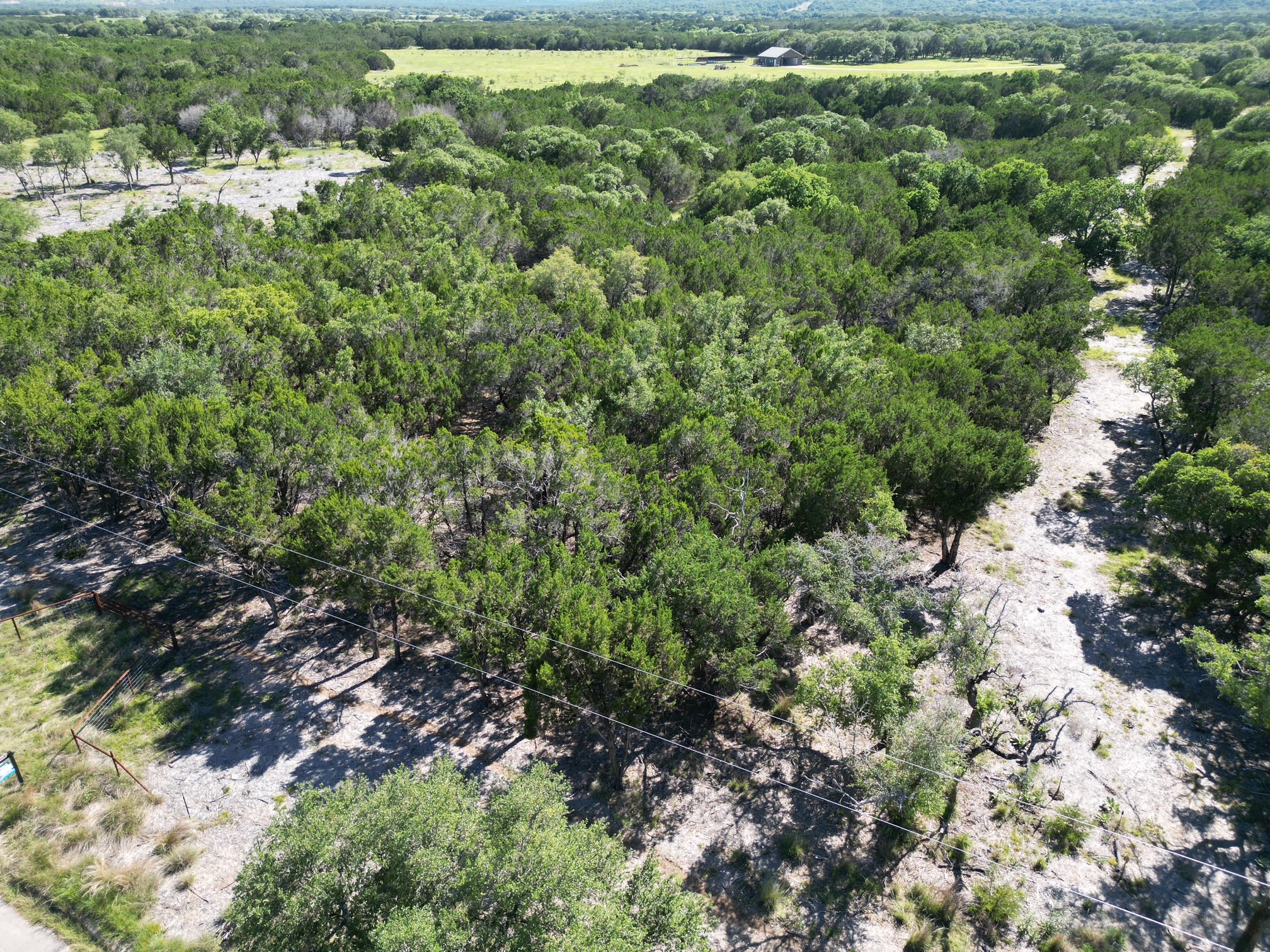 0 Cr 104 Road Lampasas, TX 76550 - Photo 10 of 18 Expansive wooded acreage featuring dense tree coverage