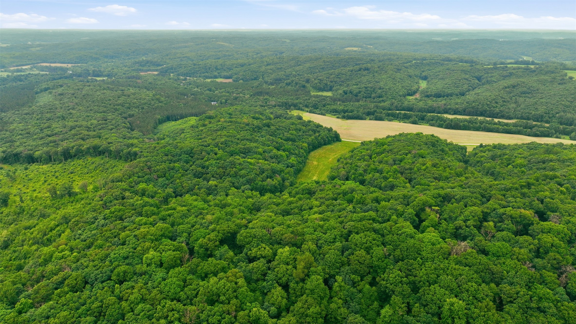 40-acres County Road South Wheeler, WI 54772 - Photo 5 of 22