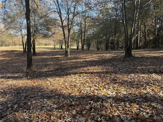 a view of park space with trees