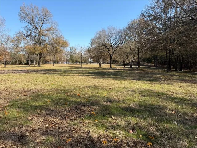 a view of a yard with an trees