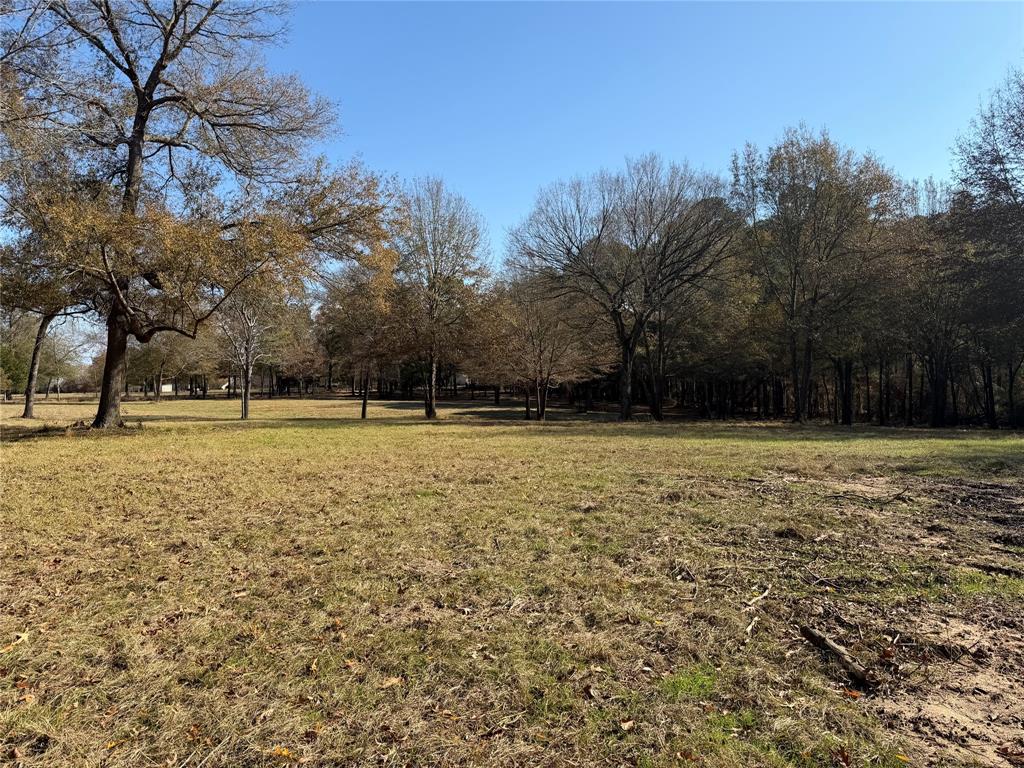 2777 County Road 4875 Pittsburg, TX 75686 - Photo 13 of 31