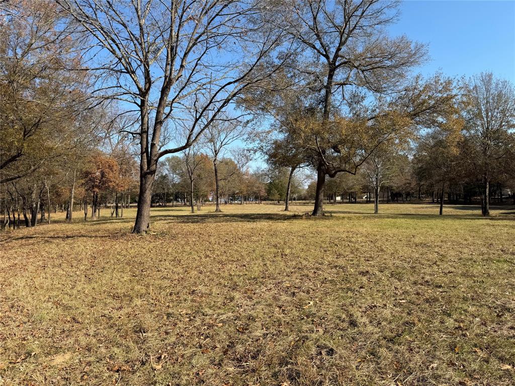 2777 County Road 4875 Pittsburg, TX 75686 - Photo 14 of 31