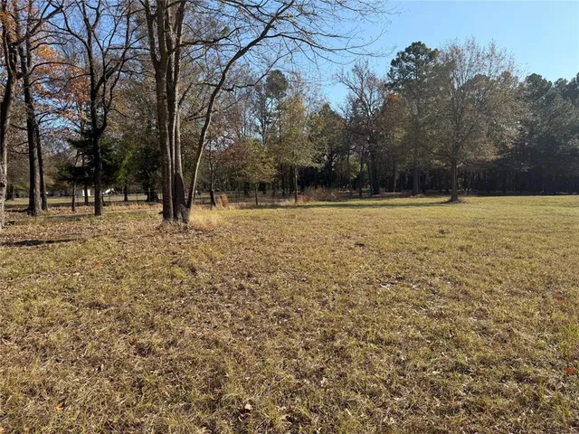 a view of a yard with trees