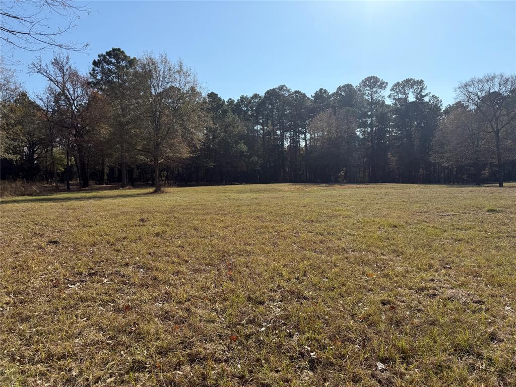 2777 County Road 4875 Pittsburg, TX 75686 - Photo 16 of 31