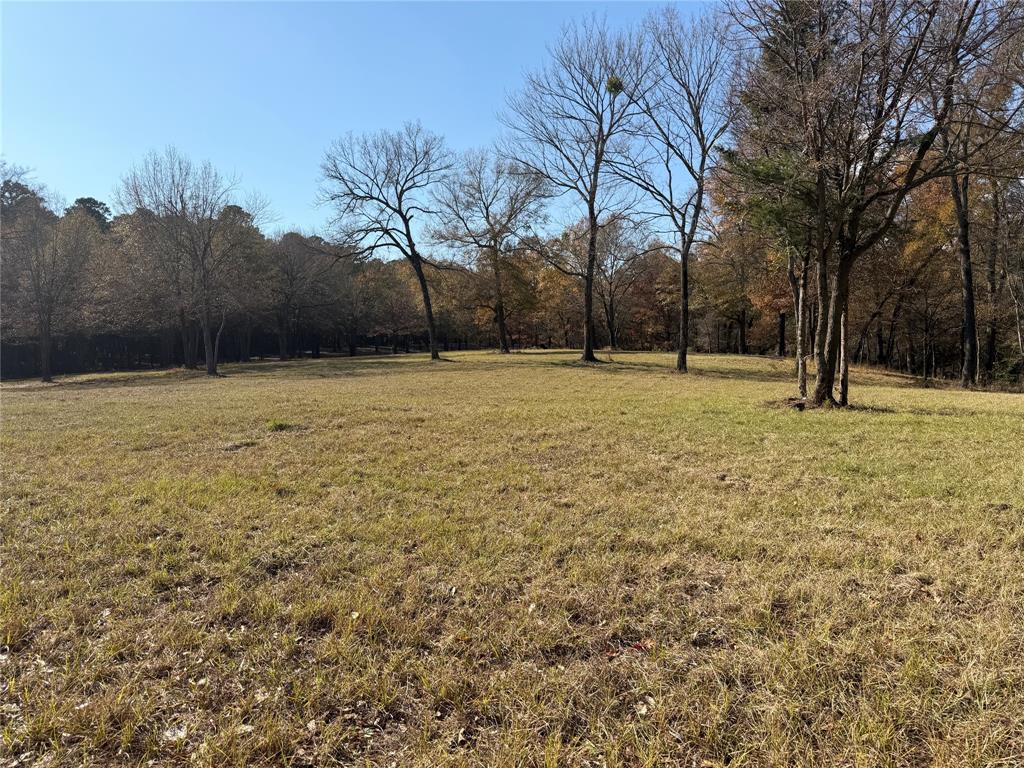 2777 County Road 4875 Pittsburg, TX 75686 - Photo 17 of 31