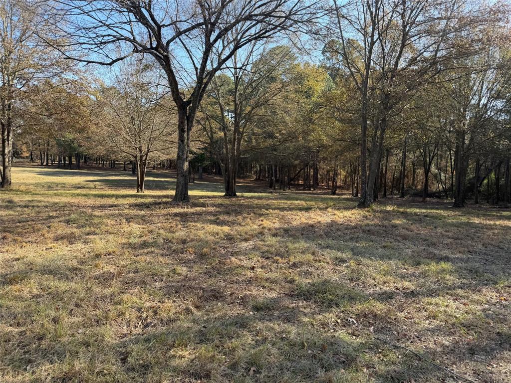 2777 County Road 4875 Pittsburg, TX 75686 - Photo 18 of 31
