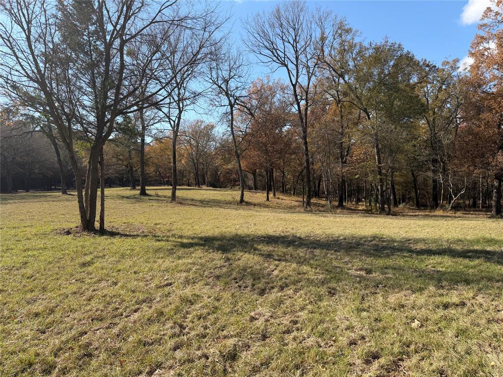 2777 County Road 4875 Pittsburg, TX 75686 - Photo 19 of 31