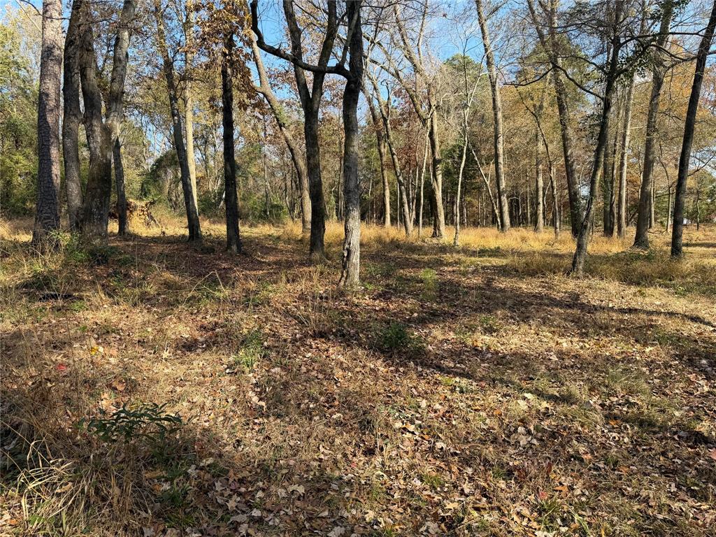 2777 County Road 4875 Pittsburg, TX 75686 - Photo 20 of 31