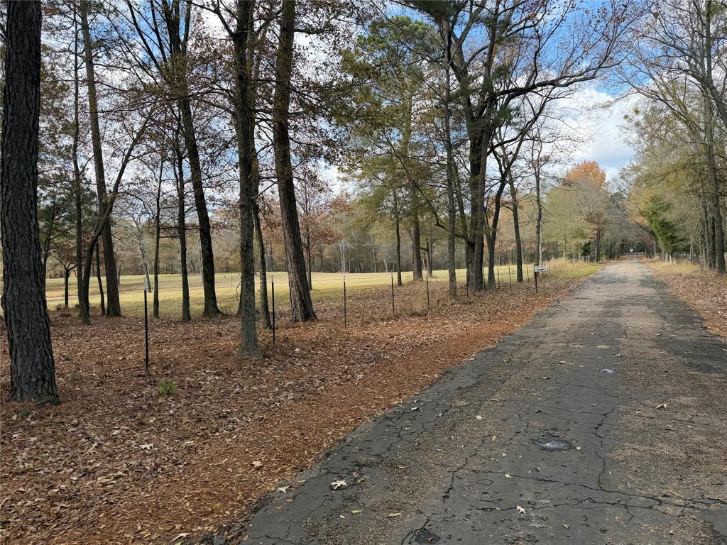 2777 County Road 4875 Pittsburg, TX 75686 - Photo 21 of 31