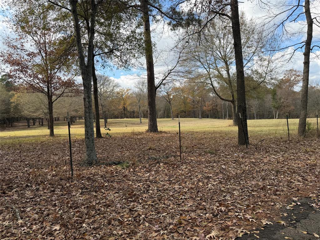 2777 County Road 4875 Pittsburg, TX 75686 - Photo 22 of 31