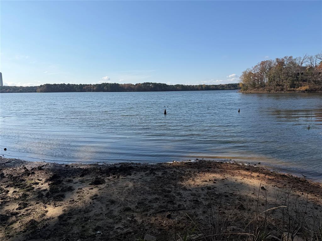 2777 County Road 4875 Pittsburg, TX 75686 - Photo 24 of 31